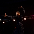 flamenco (101)